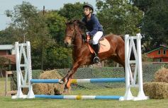 Foto de la galería: Torneo de equitación en el campo hípico del Ejército Argentino en Posadas