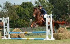 Foto de la galería: Torneo de equitación en el campo hípico del Ejército Argentino en Posadas
