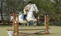 Foto de la galería: Torneo de equitación en el campo hípico del Ejército Argentino en Posadas