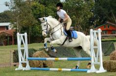 Foto de la galería: Torneo de equitación en el campo hípico del Ejército Argentino en Posadas
