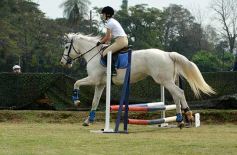 Foto de la galería: Torneo de equitación en el campo hípico del Ejército Argentino en Posadas