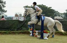 Foto de la galería: Torneo de equitación en el campo hípico del Ejército Argentino en Posadas
