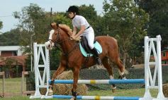Foto de la galería: Torneo de equitación en el campo hípico del Ejército Argentino en Posadas