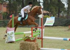 Foto de la galería: Torneo de equitación en el campo hípico del Ejército Argentino en Posadas
