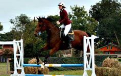 Foto de la galería: Torneo de equitación en el campo hípico del Ejército Argentino en Posadas