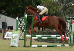 Foto de la galería: Torneo de equitación en el campo hípico del Ejército Argentino en Posadas