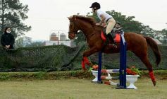 Foto de la galería: Torneo de equitación en el campo hípico del Ejército Argentino en Posadas