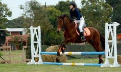 Foto de la galería: Torneo de equitación en el campo hípico del Ejército Argentino en Posadas