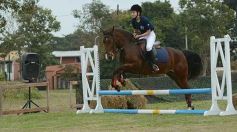 Foto de la galería: Torneo de equitación en el campo hípico del Ejército Argentino en Posadas