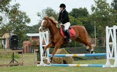 Foto de la galería: Torneo de equitación en el campo hípico del Ejército Argentino en Posadas