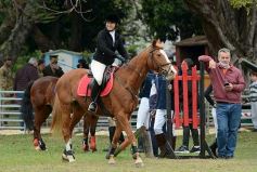Foto de la galería: Torneo de equitación en el campo hípico del Ejército Argentino en Posadas