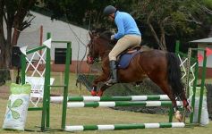 Foto de la galería: Torneo de equitación en el campo hípico del Ejército Argentino en Posadas