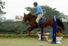 Foto de la galería: Torneo de equitación en el campo hípico del Ejército Argentino en Posadas