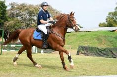 Foto de la galería: Torneo de equitación en el campo hípico del Ejército Argentino en Posadas