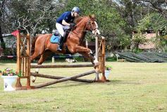 Foto de la galería: Torneo de equitación en el campo hípico del Ejército Argentino en Posadas