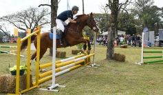 Foto de la galería: Torneo de equitación en el campo hípico del Ejército Argentino en Posadas