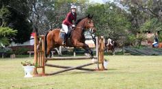 Foto de la galería: Torneo de equitación en el campo hípico del Ejército Argentino en Posadas