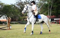 Foto de la galería: Torneo de equitación en el campo hípico del Ejército Argentino en Posadas