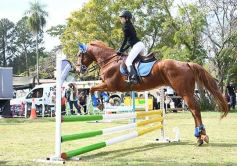 Foto de la galería: Torneo de equitación en el campo hípico del Ejército Argentino en Posadas