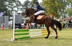 Foto de la galería: Torneo de equitación en el campo hípico del Ejército Argentino en Posadas