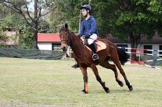 Foto de la galería: Torneo de equitación en el campo hípico del Ejército Argentino en Posadas
