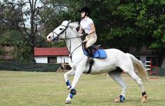 Foto de la galería: Torneo de equitación en el campo hípico del Ejército Argentino en Posadas