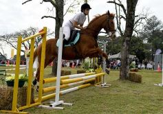 Foto de la galería: Torneo de equitación en el campo hípico del Ejército Argentino en Posadas