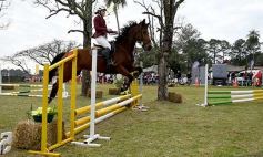 Foto de la galería: Torneo de equitación en el campo hípico del Ejército Argentino en Posadas