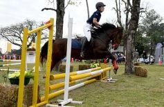 Foto de la galería: Torneo de equitación en el campo hípico del Ejército Argentino en Posadas