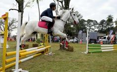 Foto de la galería: Torneo de equitación en el campo hípico del Ejército Argentino en Posadas