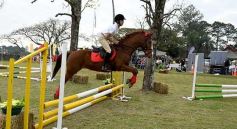 Foto de la galería: Torneo de equitación en el campo hípico del Ejército Argentino en Posadas