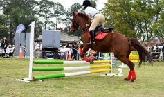 Foto de la galería: Torneo de equitación en el campo hípico del Ejército Argentino en Posadas