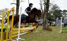Foto de la galería: Torneo de equitación en el campo hípico del Ejército Argentino en Posadas