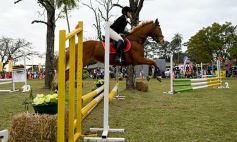 Foto de la galería: Torneo de equitación en el campo hípico del Ejército Argentino en Posadas