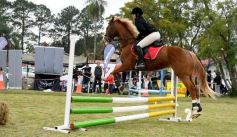 Foto de la galería: Torneo de equitación en el campo hípico del Ejército Argentino en Posadas