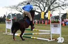 Foto de la galería: Torneo de equitación en el campo hípico del Ejército Argentino en Posadas