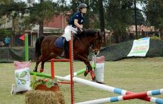 Foto de la galería: Torneo de equitación en el campo hípico del Ejército Argentino en Posadas