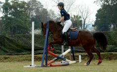 Foto de la galería: Torneo de equitación en el campo hípico del Ejército Argentino en Posadas