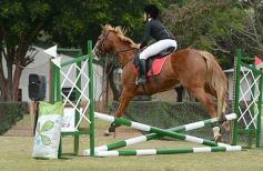 Foto de la galería: Torneo de equitación en el campo hípico del Ejército Argentino en Posadas