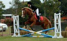Foto de la galería: Torneo de equitación en el campo hípico del Ejército Argentino en Posadas