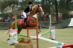 Foto de la galería: Torneo de equitación en el campo hípico del Ejército Argentino en Posadas