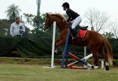 Foto de la galería: Torneo de equitación en el campo hípico del Ejército Argentino en Posadas