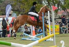 Foto de la galería: Torneo de equitación en el campo hípico del Ejército Argentino en Posadas