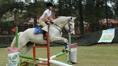 Foto de la galería: Torneo de equitación en el campo hípico del Ejército Argentino en Posadas