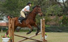 Foto de la galería: Torneo de equitación en el campo hípico del Ejército Argentino en Posadas