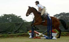 Foto de la galería: Torneo de equitación en el campo hípico del Ejército Argentino en Posadas