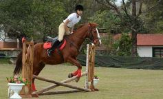 Foto de la galería: Torneo de equitación en el campo hípico del Ejército Argentino en Posadas
