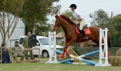 Foto de la galería: Torneo de equitación en el campo hípico del Ejército Argentino en Posadas