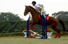 Foto de la galería: Torneo de equitación en el campo hípico del Ejército Argentino en Posadas