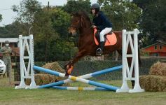 Foto de la galería: Torneo de equitación en el campo hípico del Ejército Argentino en Posadas